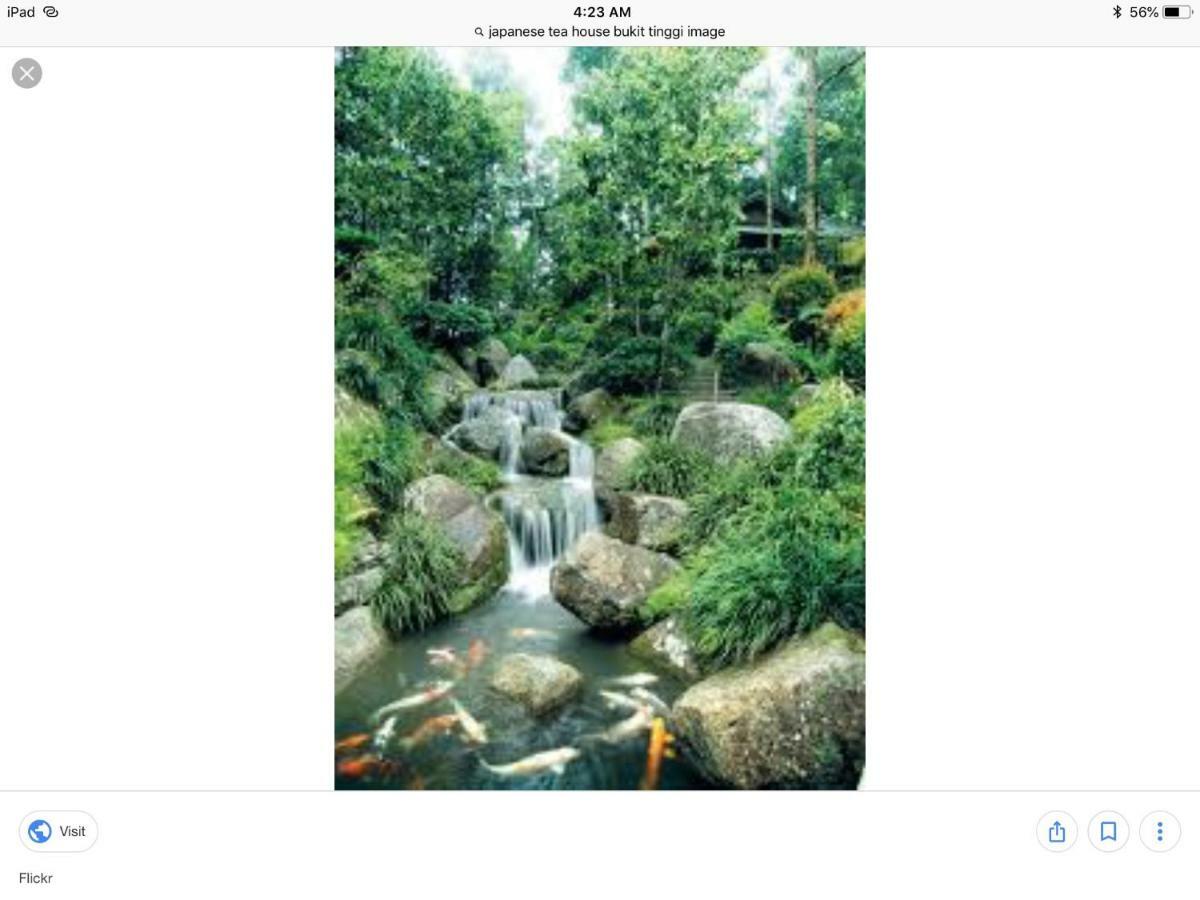 Bukit Tinggi Berjaya Hill Homestay Екстериор снимка