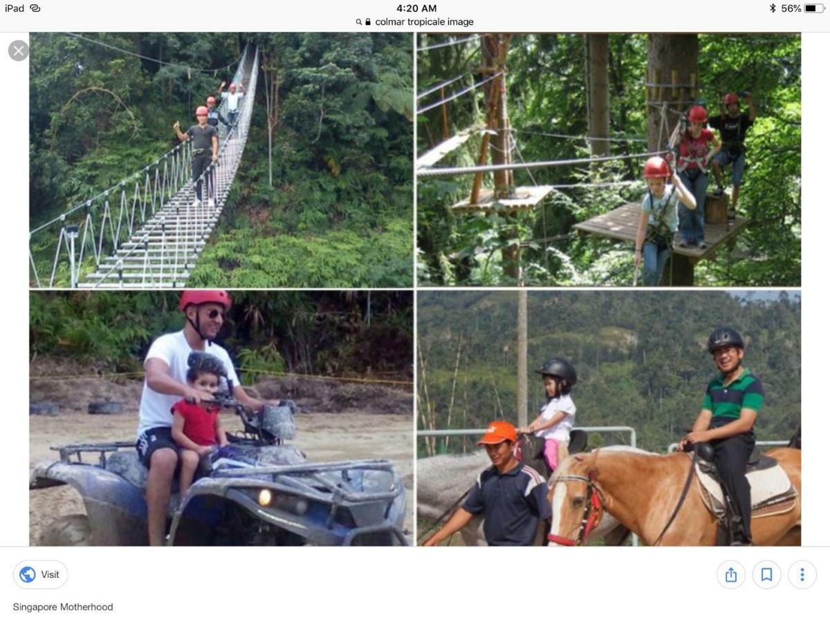 Bukit Tinggi Berjaya Hill Homestay Екстериор снимка