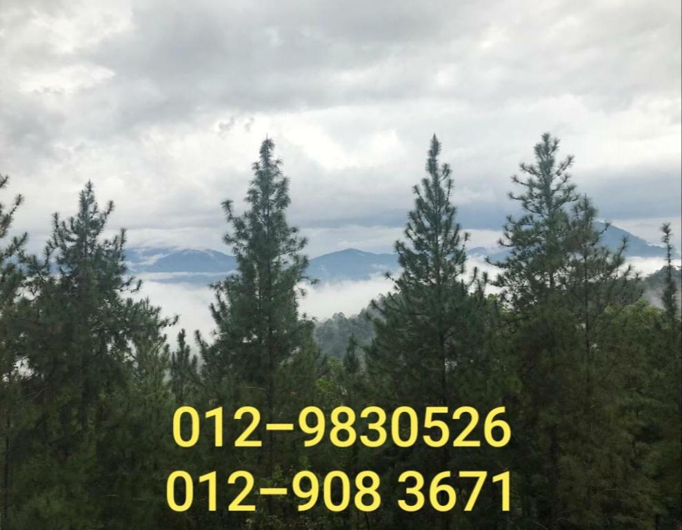 Bukit Tinggi Berjaya Hill Homestay Екстериор снимка